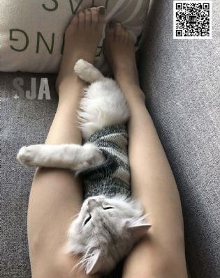 男人对女人年龄看重吗_BD英语在线手机播放